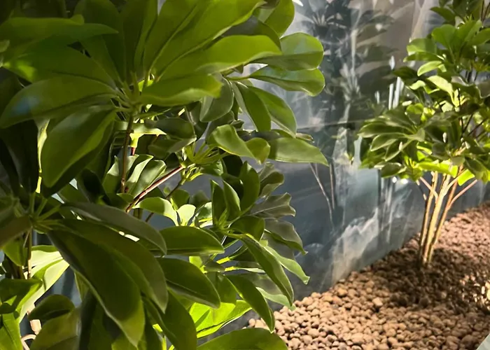 아파트 Historical 로마