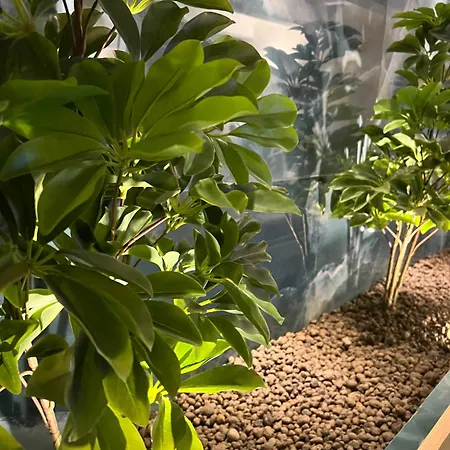 Apartman Historical Róma